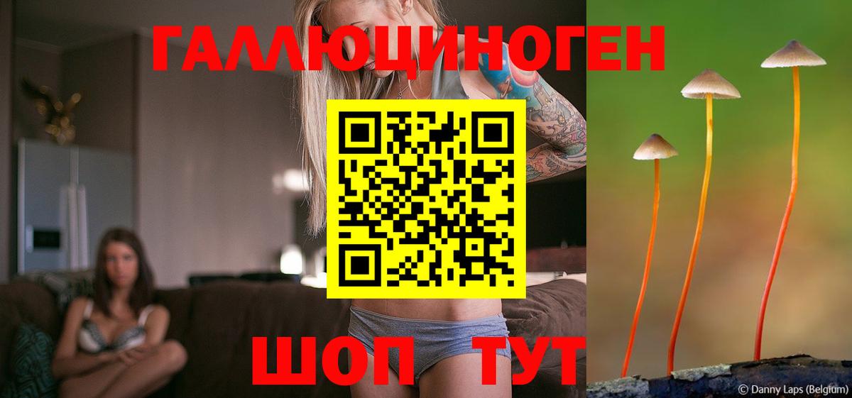 Галлюциногенные грибы прущие грибы Качканар