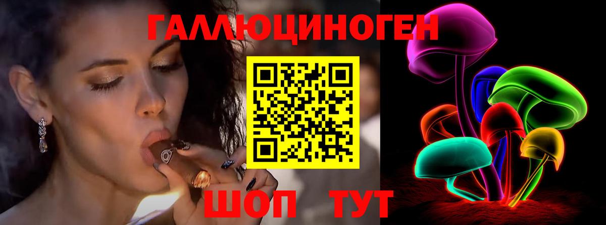 сколько стоит  Псилоцибиновые грибы прущие грибы  Вход с VPN  Псилоцибиновые грибы Psilocybine cubensis  Качканар 